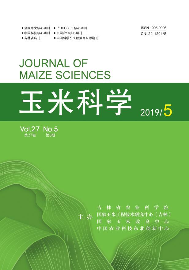 玉米科学